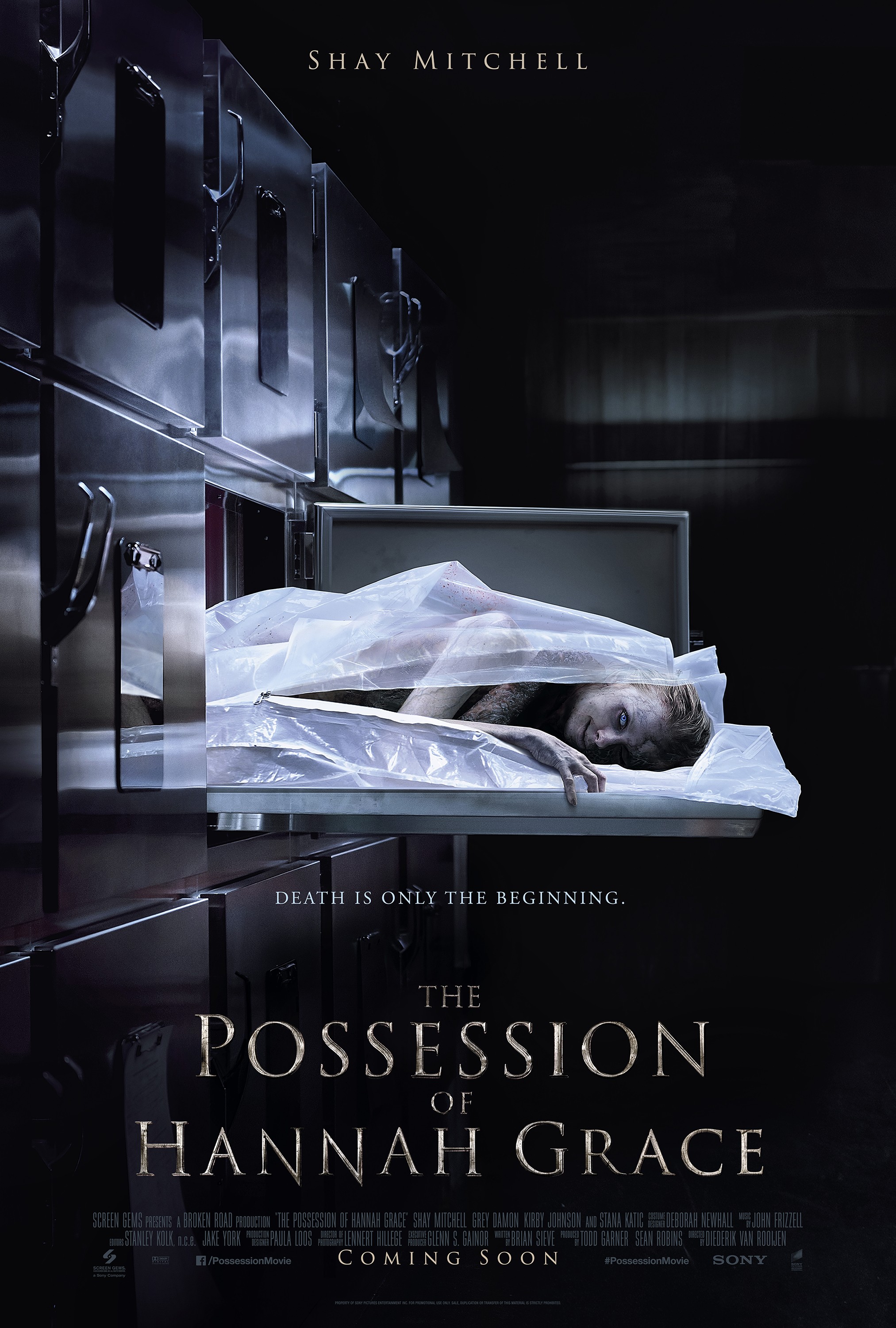 similar movies to the possession of hannah grace