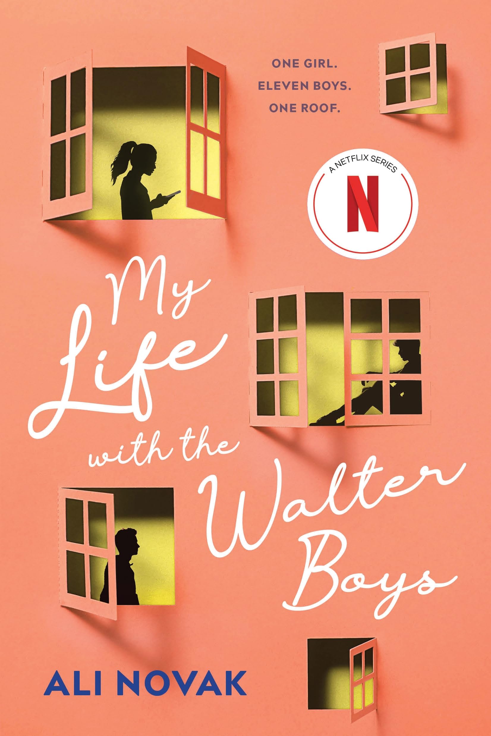 my life with the walter boys by ali novak： a summary