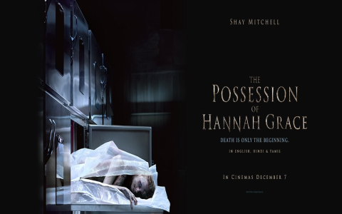 similar movies to the possession of hannah grace