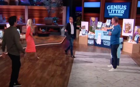 Shark Tank Success: Genius Litters Journey Post-Appearing on ABCs Show