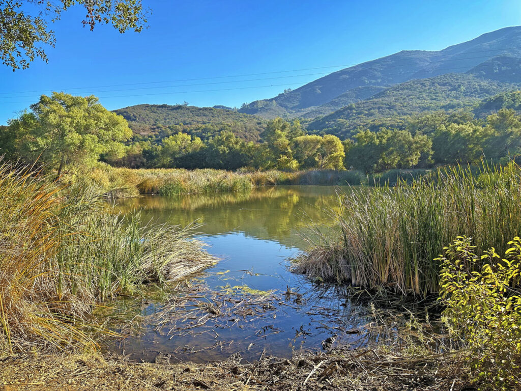 Discover Cara Parker Wilderness: Natures Hidden Gems