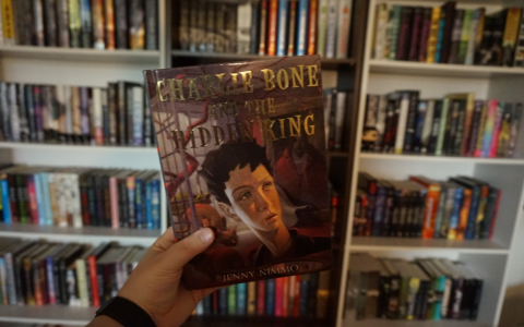 Get the Full Charlie Bone Series in Order: A Must-Read List