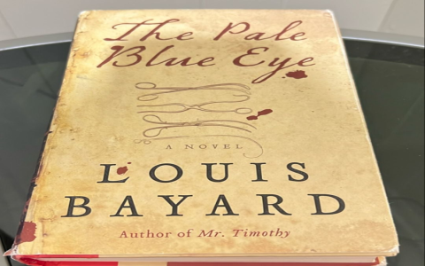 Enjoyed The Pale Blue Eye? Here Are Similar Thrillers