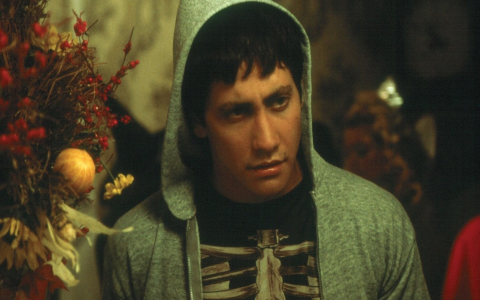 More Movies Like Donnie Darko: A List of Cult Classics and Hidden Gems