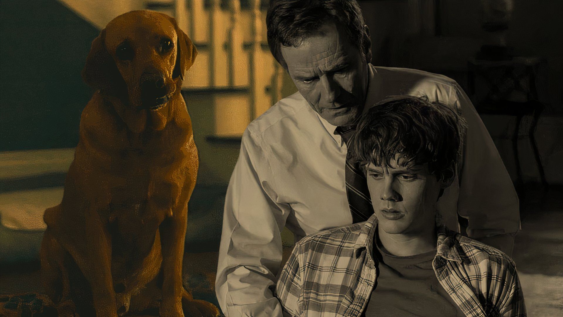 Does the Dog Die, Your Honor? What You Need to Know Before Watching