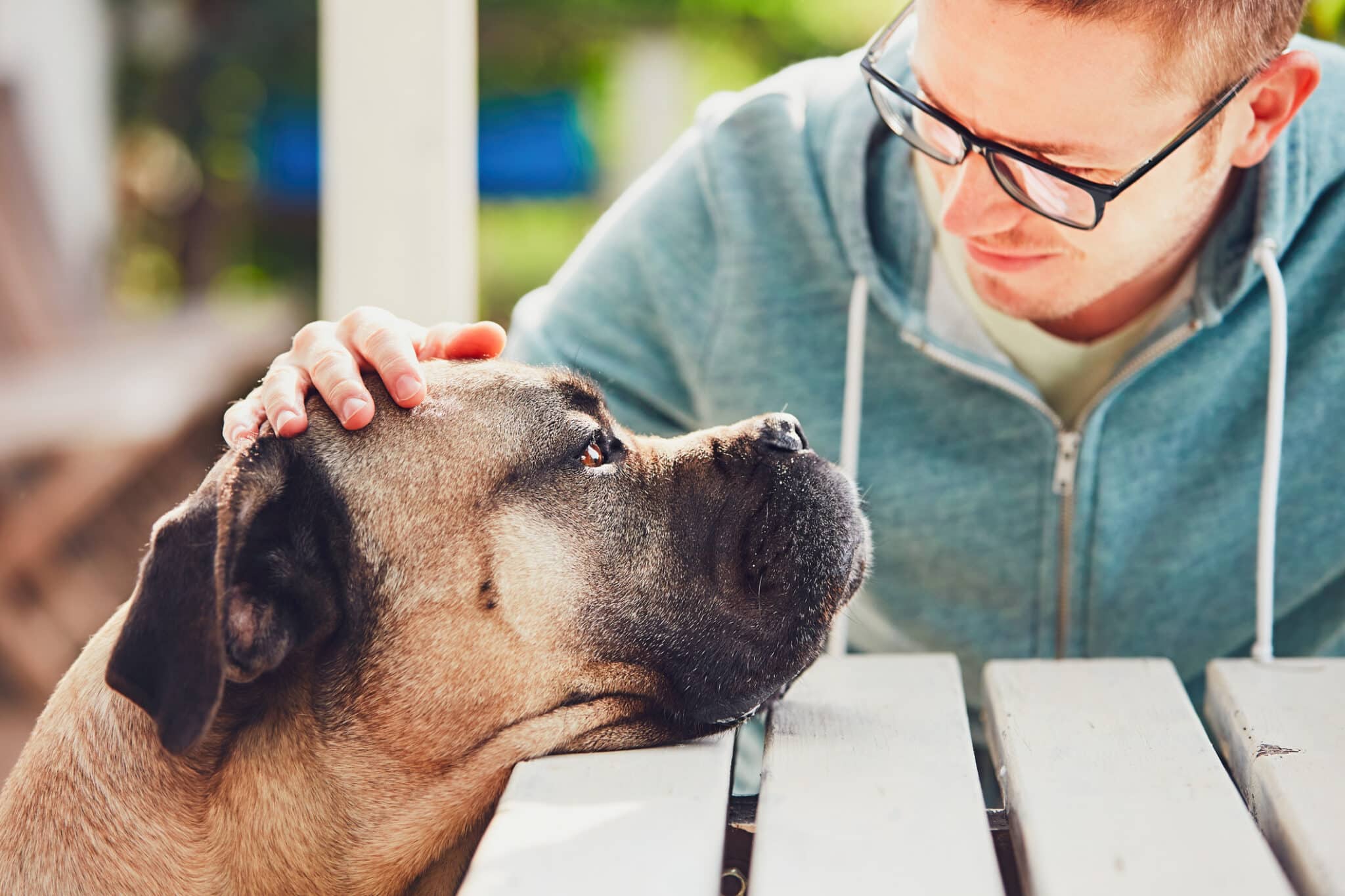 Considering a Humane Ending? Heres What You Need to Know About Pet Loss.