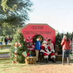 Hudler Christmas Tree Farm:  Is It the Best Family Christmas Tree Farm?