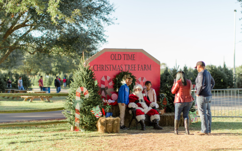 Hudler Christmas Tree Farm:  Is It the Best Family Christmas Tree Farm?