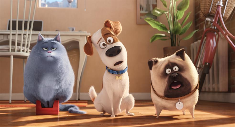 If You Enjoyed Movies Like The Secret Life of Pets, Check These Out Now!