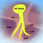 Heartbeat ending: What does it mean? Find out here.