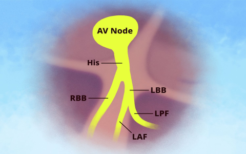 Heartbeat ending: What does it mean? Find out here.