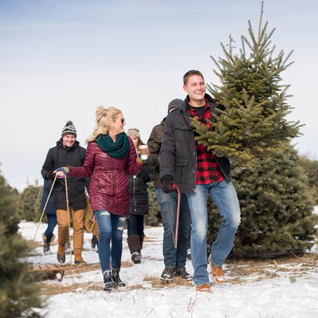 Hudler Christmas Tree Farm:  Is It the Best Family Christmas Tree Farm?