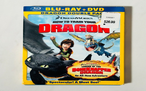 What to Watch After How to Train Your Dragon 2: Films with Dragons, Adventure, and Heartfelt Stories