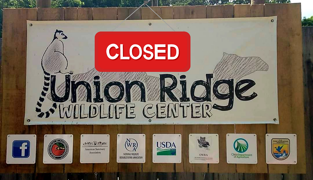 Support Union Ridge Wildlife Center: Learn How to Help Wildlife