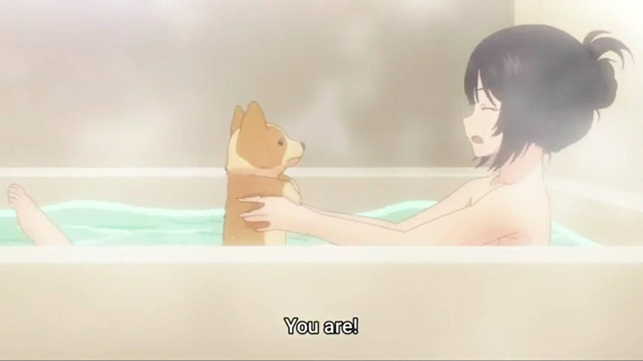 Watch Inukai-sans Dog Uncensored: All Episode Free Views